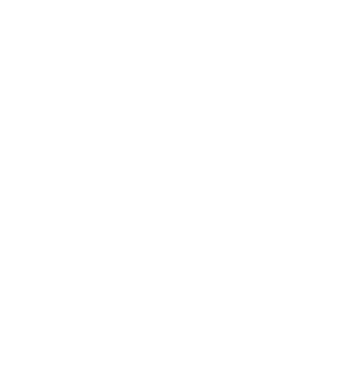 nbs Logo